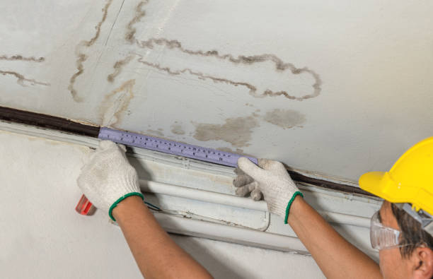 Reliable Water Damage contractor in Clarkston, UT by Water Damage Irwin